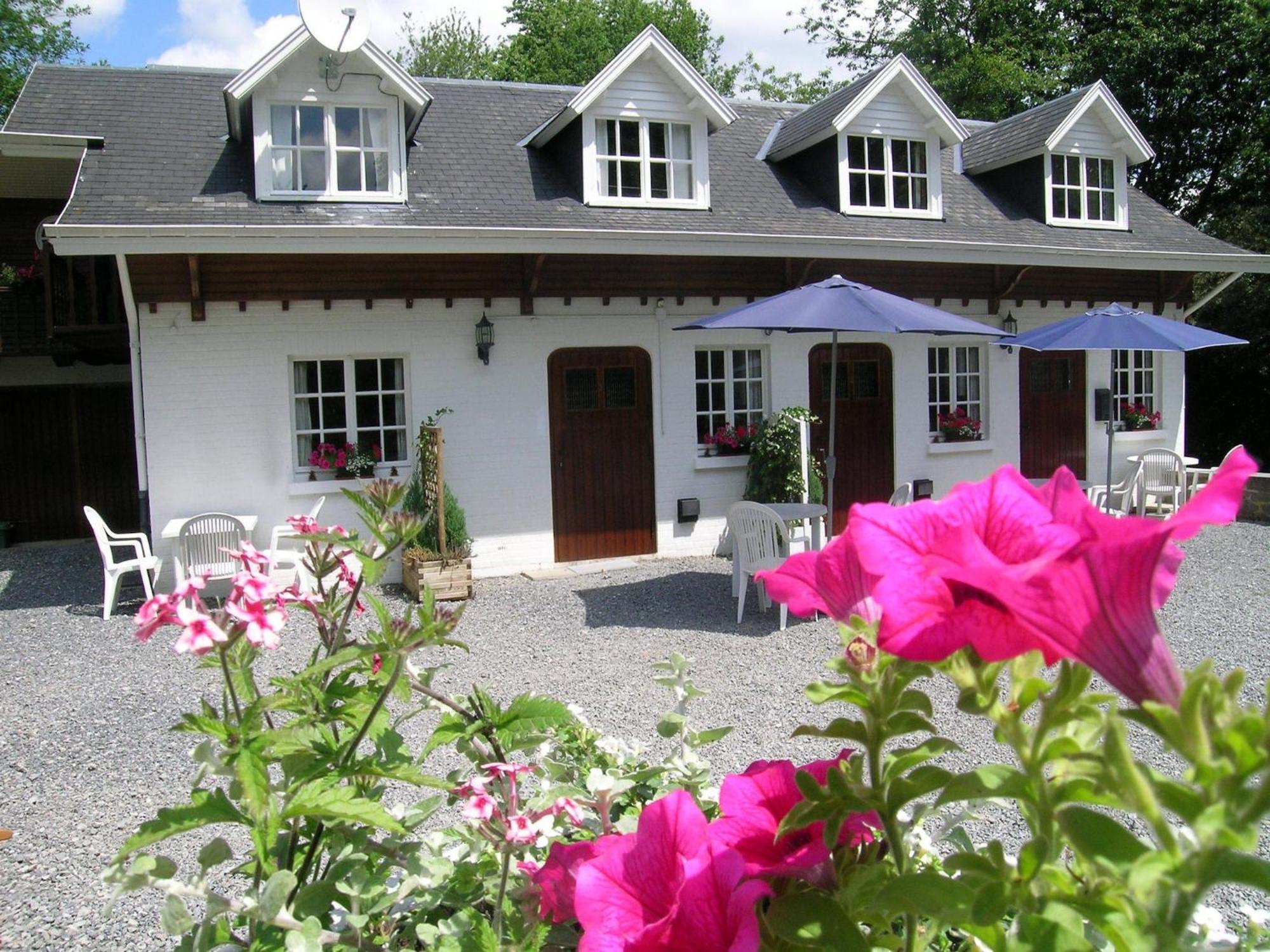 Gorgeous Apartment In Bohon With Garden Furniture And Bbq Barvaux-sur-Ourthe Extérieur photo